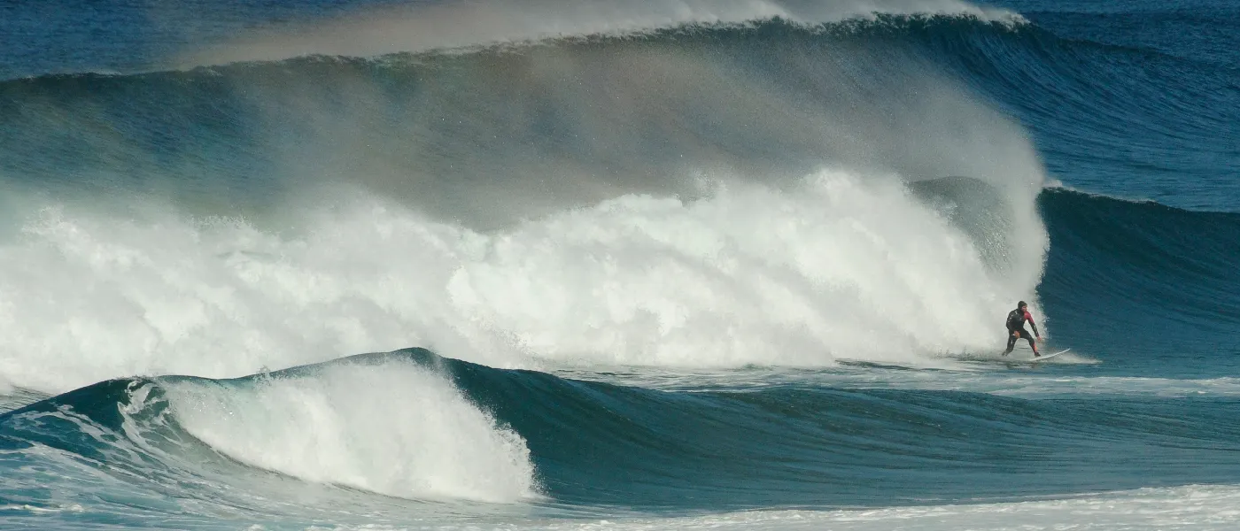 Foto de portada de Nikomano fran